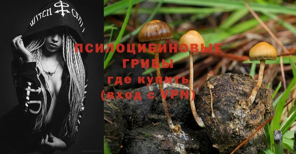 mdpv Михайлов