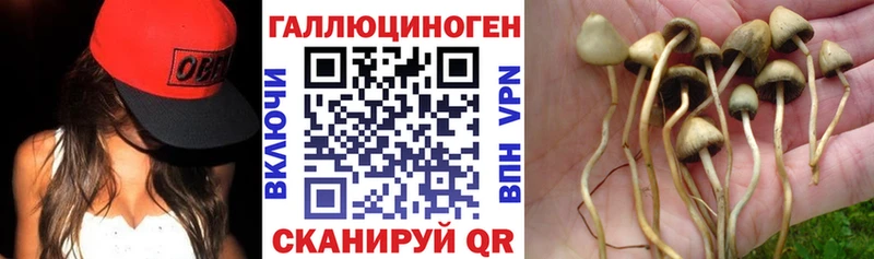 Галлюциногенные грибы Psilocybine cubensis  Купить закладки  Заозёрск 